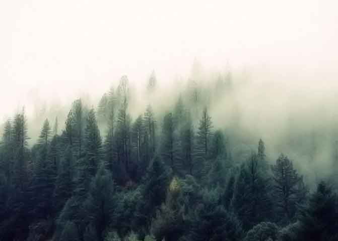 云呼炸仇人软件